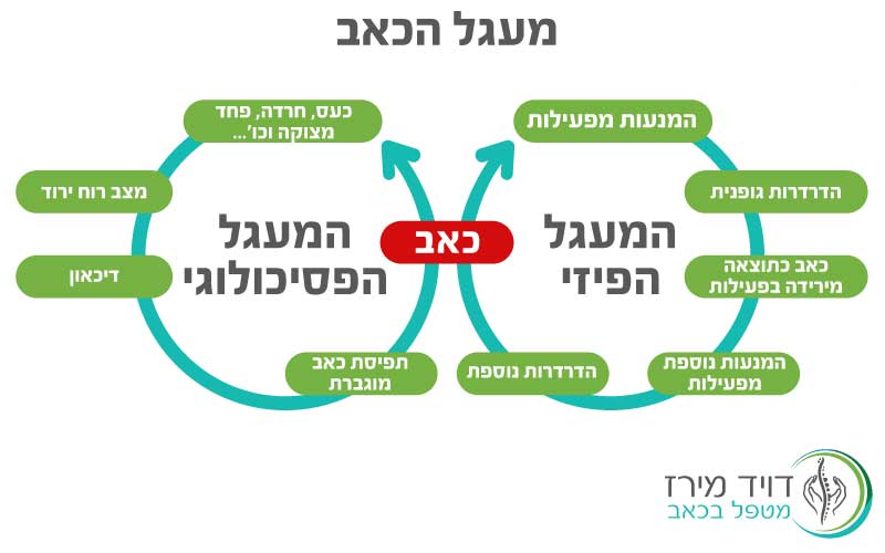 מעגל הכאב