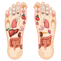 foot
